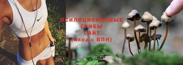 соль ск Волосово