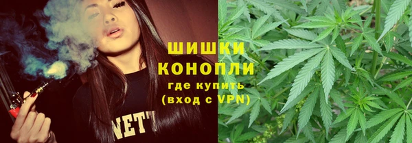 соль ск Волосово